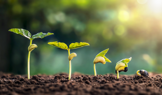 MELKO der optimale Dünger für Ihre Pflanzen und für unsere Umwelt