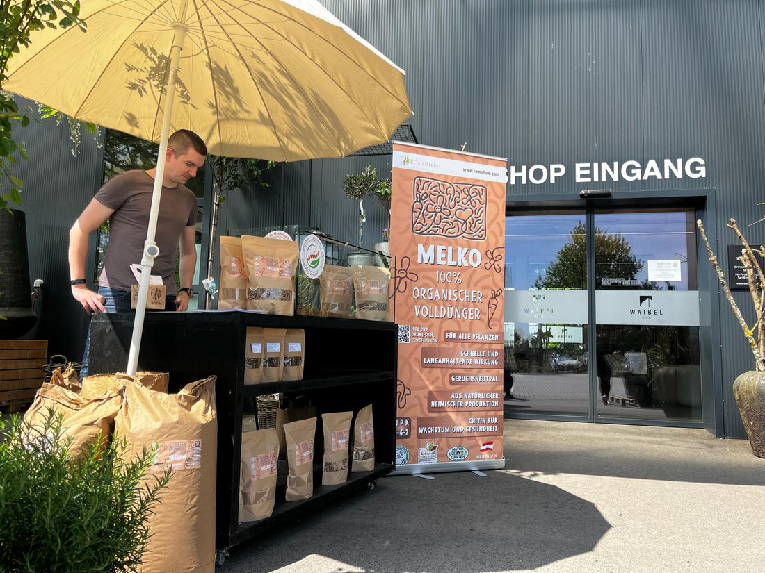 ROMOFLOW Pop-Up-Store Gärtnerei Waibel in Münchendorf