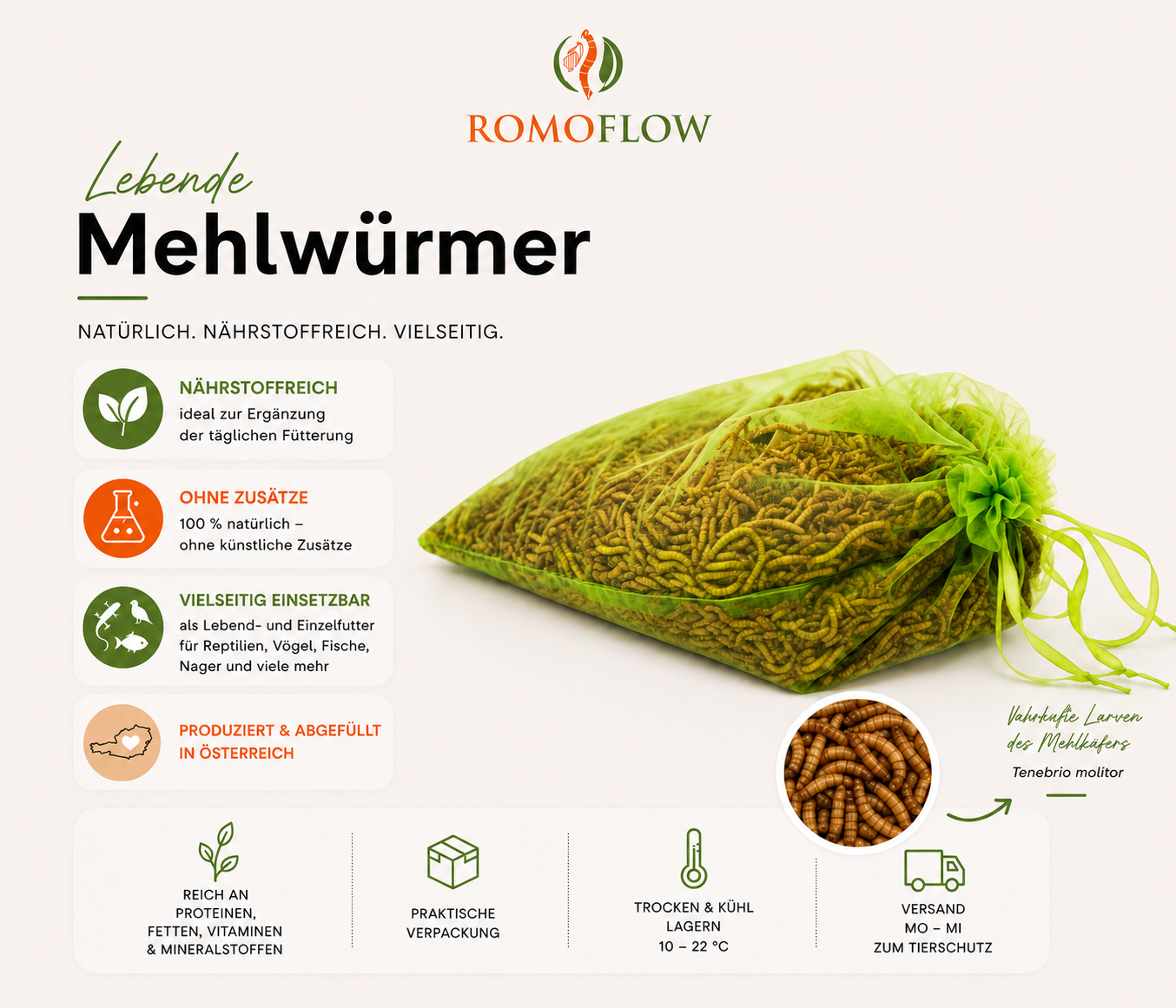 Lebende Mehlwürmer für Hühner & Wildvögel – Proteinreiches Futter