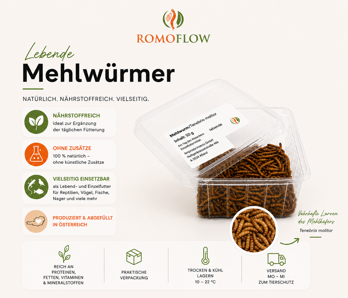Mehlwürmer - lebend 50g