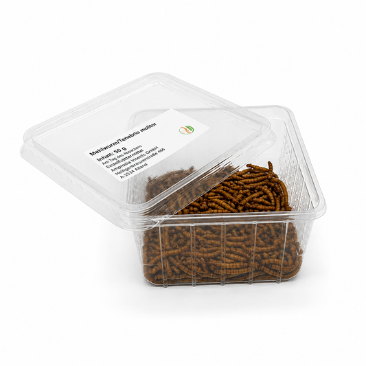Mehlwürmer - lebend 50g