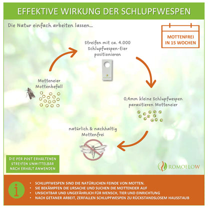 Kleidermotten-Kur Standard – 5x4 Streifen